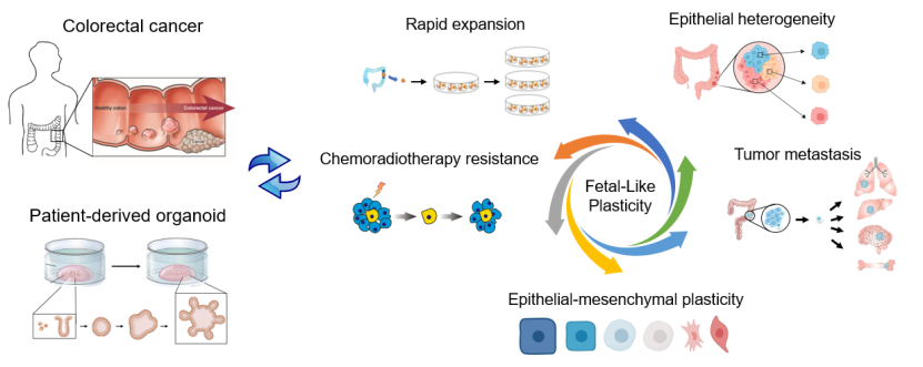亚游集团·ag8(中国)官网-只為非同凡享