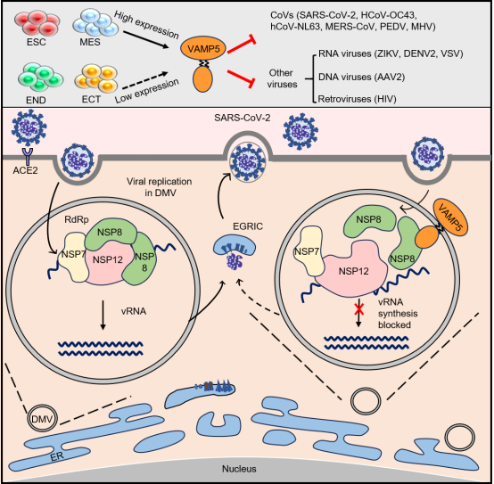 亚游集团·ag8(中国)官网-只為非同凡享