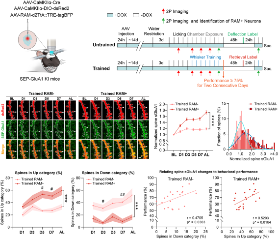 亚游集团·ag8(中国)官网-只為非同凡享